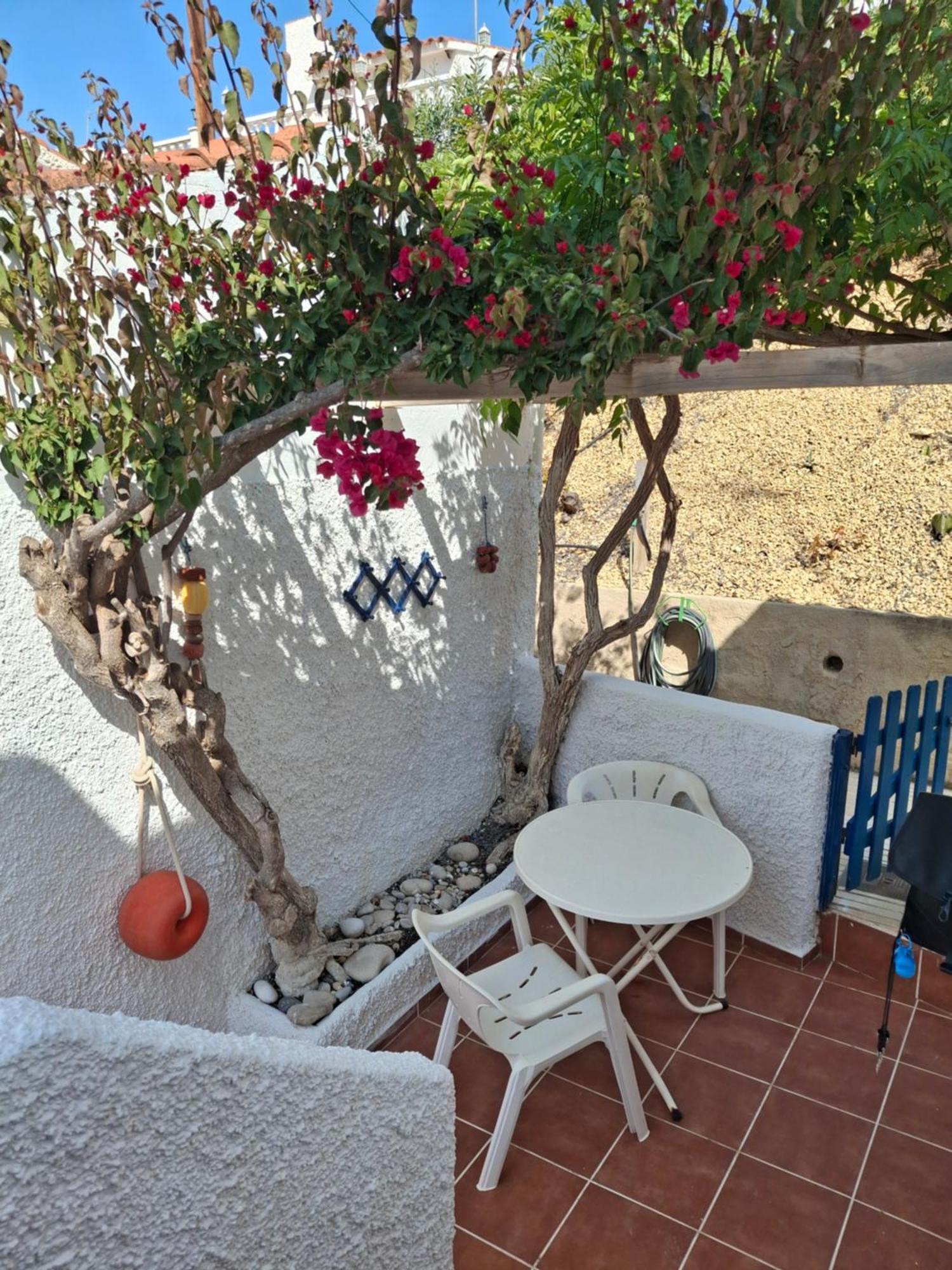 Bungalow Casiopea Internet 300 Mb Sat Smarttv El Campello Εξωτερικό φωτογραφία